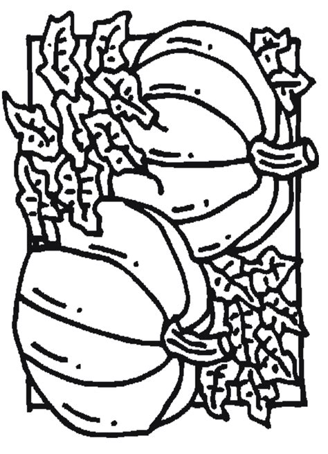 leaf coloring pages  print coloring home
