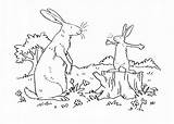 Much Guess Coloring Pages Hare Big Carefully Nutbrown Listen Te Quiero Adivina Printable Teenagers Getcolorings Charts Drawing Mom Print Getdrawings sketch template