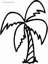 Palm Tree Coloring Pages Clip Trees Clipart Color Printable Drawing Leaf Leaves Template Food Nature Kids Sunday Sheet Vector Clipartmag sketch template