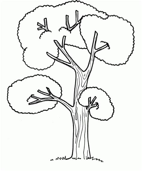 coloring pages  trees  leaves coloring home