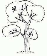 Drzewo Kolorowanka Arbre Nieba Samego Tall Druku Drzewa Nouveau Arboles Kolorowanki Dibujos Pokoloruj Coloringhome sketch template