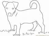 Coloringpages101 Printable Mammals sketch template