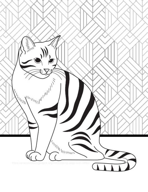 cat coloring sheet  pattern background animal coloring pages