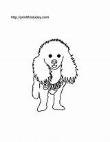 Fluffy Dogs Puppy sketch template
