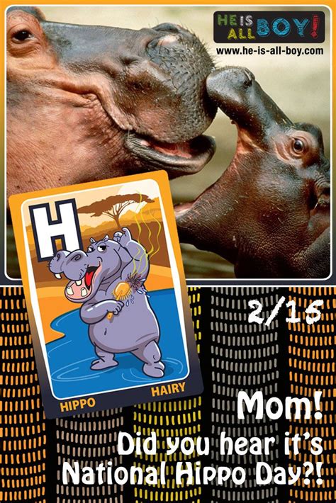 happy hippo day    fascinating animals nationalhippoday