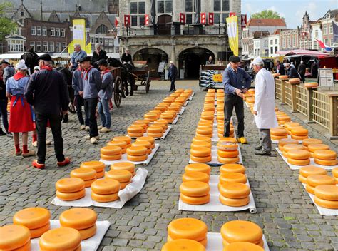 gouda cheese market discover benelux