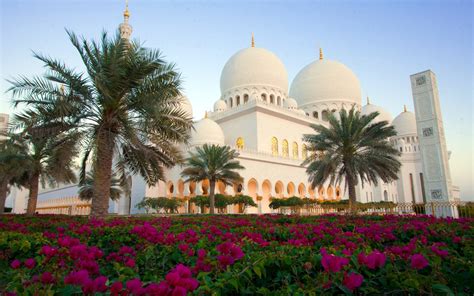 grand mosque sheikh zayed palms garden  purple flowers abu dhabi
