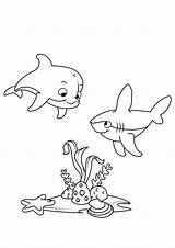 Malvorlage Delfino Peces Squalo Delphin Delfini Gratis Rios Dolphine Große Abbildung Ausdrucken sketch template