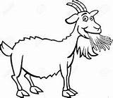 Chevre Goats sketch template
