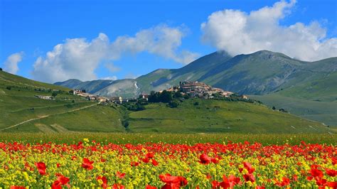 sfondi alberi paesaggio montagne fiori italia architettura