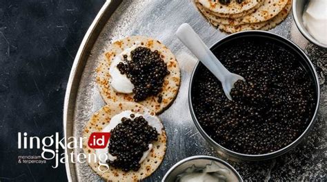 Mengenal Caviar Telur Ikan Yang Super Mahal