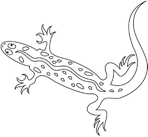 printable lizard coloring pages  kids