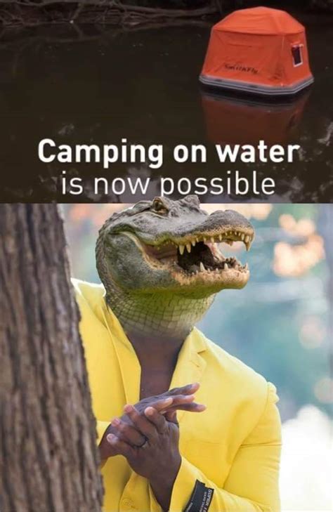 the best crocodile memes memedroid