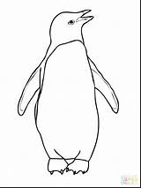 Coloring Penguins Pages Pittsburgh Getcolorings sketch template