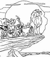 King Lion Coloring Pages Characters Simba Become Getcolorings Color Getdrawings sketch template