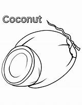 Coconut Coco Fruta Colouring Buah Cocos Rambutan sketch template
