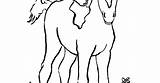 Foal Coloring Pages Getcolorings Samanthasbell sketch template
