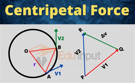 centripetal force  centripetal acceleration