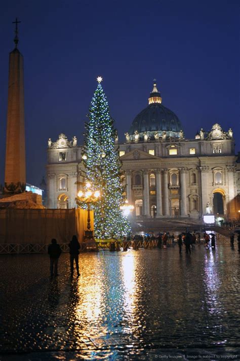 christmas tree  alighted  st peters square   vatican christmas  rome christmas