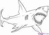 Shark Coloring Great Draw Pages Drawing Color Step Drawings Sharks Fish Megalodon Template Desenho Sheet Kids Colouring Sheets Clipart Para sketch template