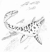 Liopleurodon sketch template