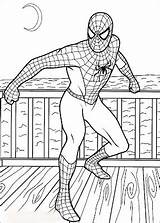 Spiderman Kolorowanki Coloriage Imprimer Wydruku Colriage Coloriages Bestappsforkids Héros Dzieci sketch template