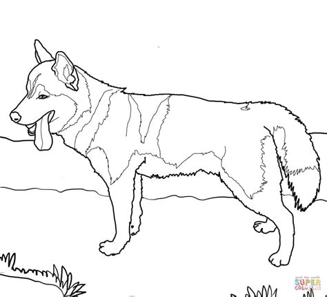 siberian husky dog super coloring dog patterns pinterest