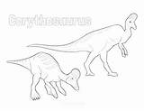 Coloring Dinosaur Dinosaurs Corythosaurus sketch template