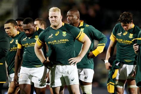 sa rugby diaspora players ordered  return home   berth  national team