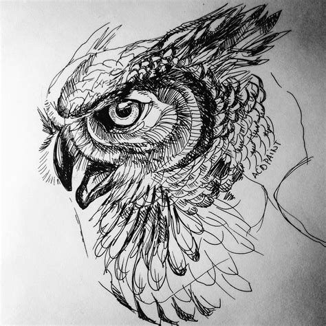 owl ink  rart owl tattoo design owl tattoo sketch tattoo