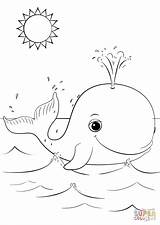 Coloring Whale Pages Cute Cartoon Printable Drawing sketch template