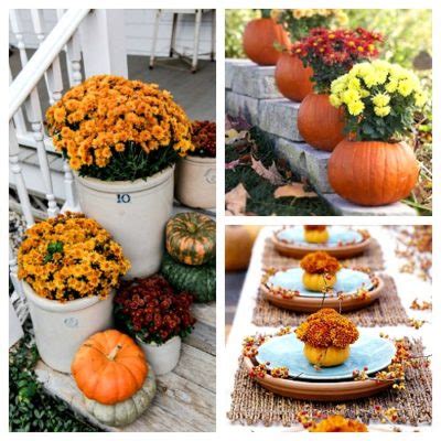 decorating  mums  fall floral decor ideas  cultivated nest