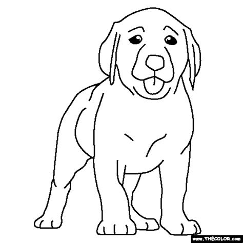 dog  coloring pages thecolorcom
