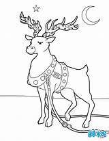 Reindeer Coloring Christmas Pages Adorned Color Online Holidays Hellokids Print sketch template