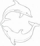 Dolphin Drawing Line Realistic Coloring Pages Dolphins Step Drawings Draw Getdrawings Heart Sea Animal sketch template