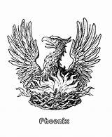 Phoenix Mythical Coloring Creatures Pages Medieval Fantasy Sheets Mythological Bird Animals Activity Printable Beasts Fenix Para Beast Rising Griffin Myth sketch template