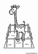 Giraffe Cage Coloring Animal Pages Printable Color sketch template