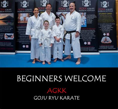 Karate Classes Lessons For Beginners Martial Arts Classes For Beginners