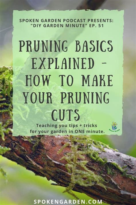 pin  pruning tips