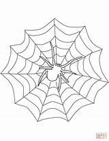 Colorare Ragnatela Disegno Spiderman Spider Venom Ragno Ragnatele Disegnare sketch template