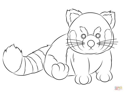 cute red panda coloring pages