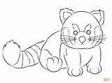Panda Red Coloring Pages Cute Adults Webkinz Print Template Printable Cartoon Rojo Para Color Drawing Baby Dibujar Clipart Oso Library sketch template