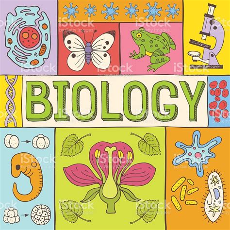 biology hand drawn colorful vector illustration  doodle icons