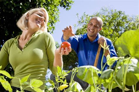 Los Beneficios De La Jardinería Para Tu Salud – Artofit