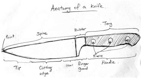 chef raj mohan anatomy  kitchen knife