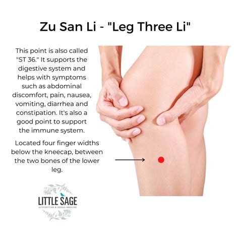 Improve Digestion With Acupressure And Phototherapy On Zu San Li Point