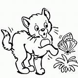 Coloring Colouring Drawing Pages Cat Flower Animals Drawings Butterfly Flowers Animal Color Pic Printable Colorful Choose Board Line Getdrawings Colors sketch template