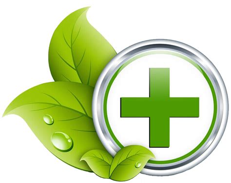 green healthcare medicine health care icon icon favicon