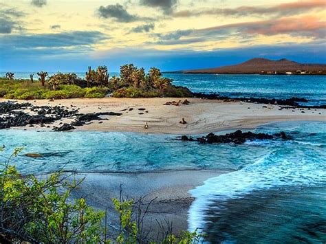 galapagos islands flights cheap    edreams