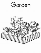 Garden Coloring Pages Color Vegetables sketch template